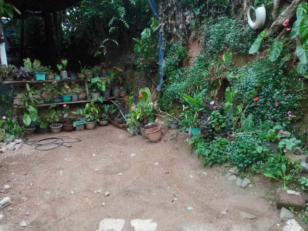 Nimsara Homestay Ella Extérieur photo